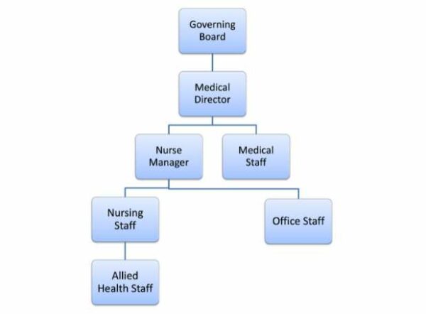 Organizational Chart Template